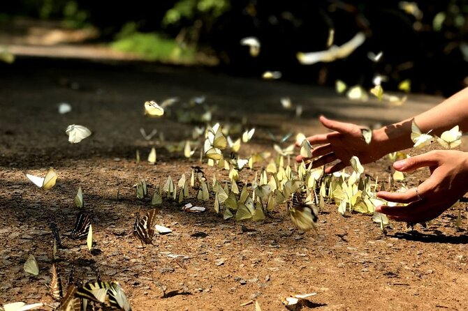 Nam Cat Tien National Park 2 Days 1 Night - Private Tour - The Sum Up