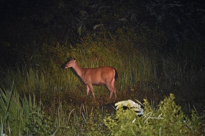 Nam Cat Tien National Park 2 Days 1 Night Tour - Accommodation Details