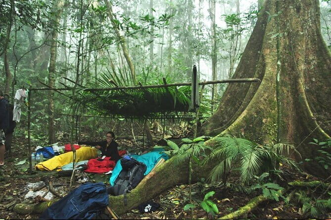 Nam Ha NPA 3 Day Wildlife Jungle Camp and Village Homestay Trek - Introduction