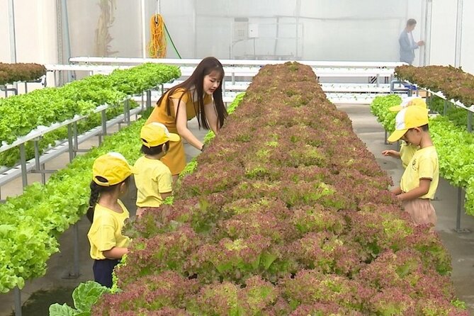 Nam O Fish Sauce Factory & Wet Rice Paper Making in Tuy Loan Village - Tasting Authentic Vietnamese Fish Sauce and Wet Rice Paper