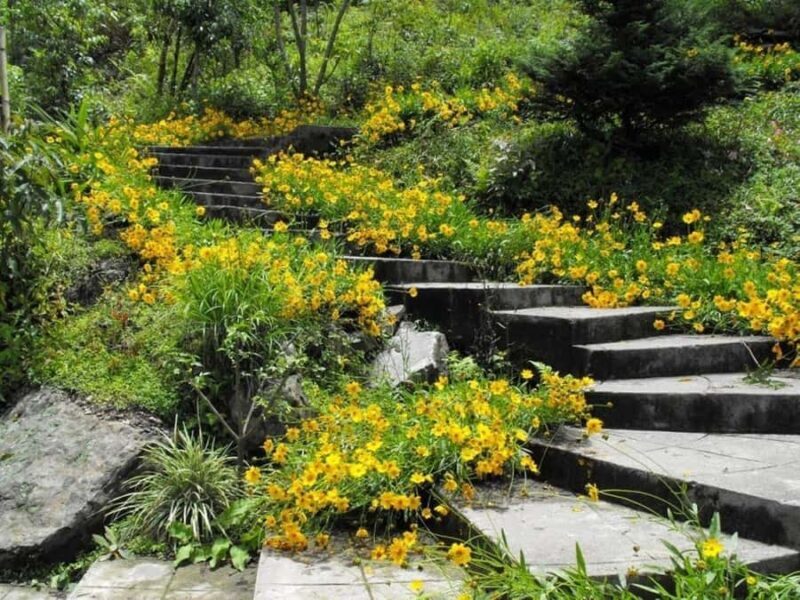 Namchi Highlights: A Perfect Day Tour - Who Would Love This Tour?