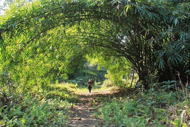 Namdhapa Wildlife & Treehouse - Pickup Points and Timing