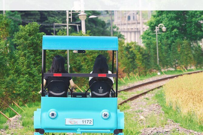 Nami, Alpaca, Petite France, Morning Calm Begonia One Day Tour - An In-Depth Look at What Youll Experience