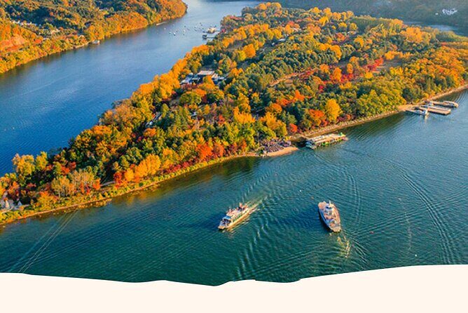 Nami, Alpaca, Petite France, Morning Calm Begonia One Day Tour - Who Would Love This Tour?