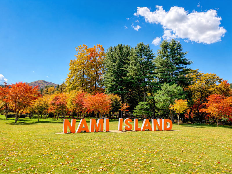 Nami Island All-in-One: Alpaca, Rail Bike,Garden Morning Calm & more - Pick the day that suits your pace