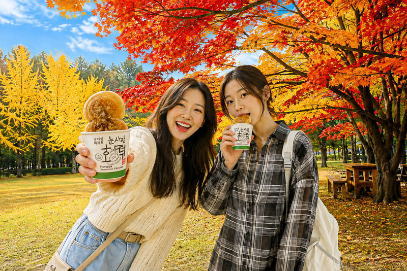 Nami Island All-in-One: Alpaca, Rail Bike,Garden Morning Calm & more - What the price buys