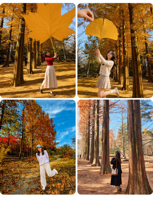 Nami Island All-in-One: Alpaca, Rail Bike,Garden Morning Calm & more - A few practical details before booking