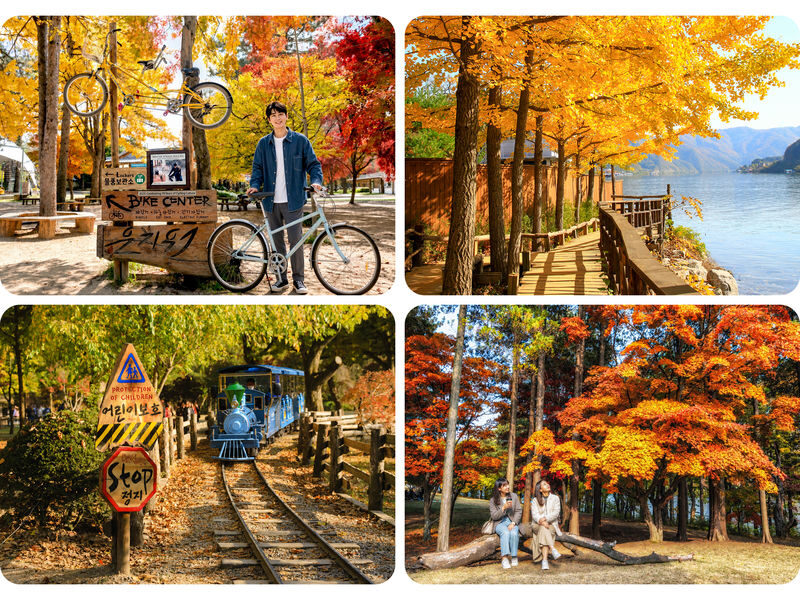 Nami Island All-in-One: Alpaca, Rail Bike,Garden Morning Calm & more - Should you book this day trip?