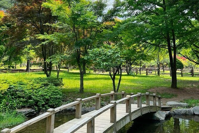 Nami Island, Alpaca World and Railbike Kimyujeong Tour - What to Expect from the Tour