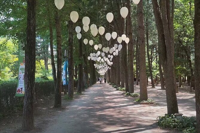 Nami Island, Alpaca World and Railbike Kimyujeong Tour - Experience and Timing