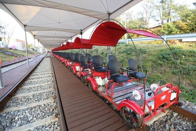 Nami Island, Alpaca World and Railbike Kimyujeong Tour - Who Should Consider This Tour?