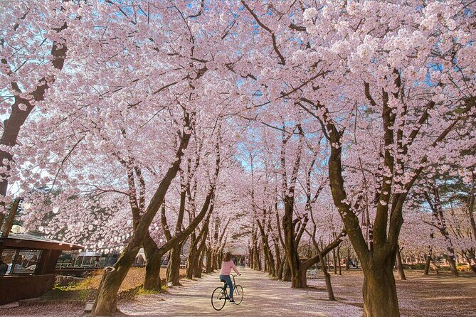 Nami island and Hanbok Wearing and Waterfall from Seoul - Good To Know