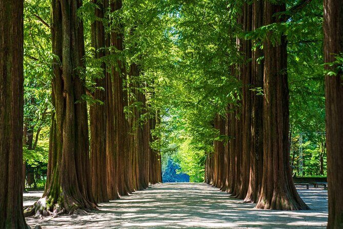 Nami island and Hanbok Wearing and Waterfall from Seoul - FAQ