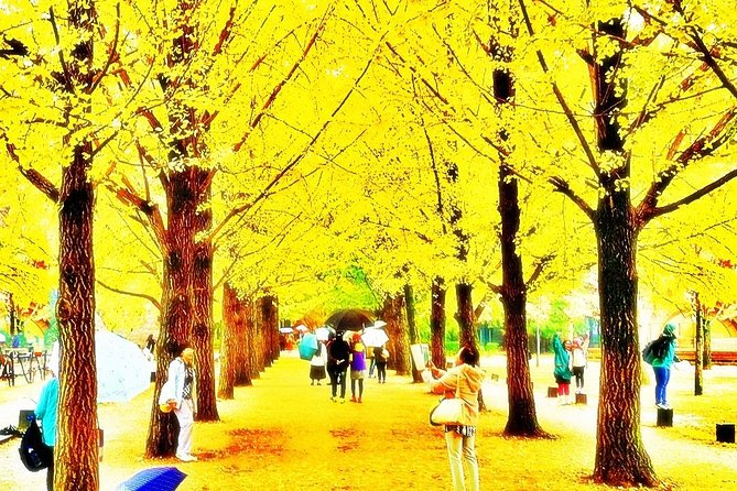 Nami Island and Petite France {Private Day Tour} - Cancellation Policy