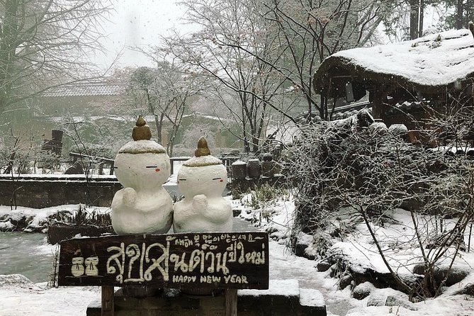 Nami Island and Petite France With the Garden of Morning Calm One Day Tour - Tour Details