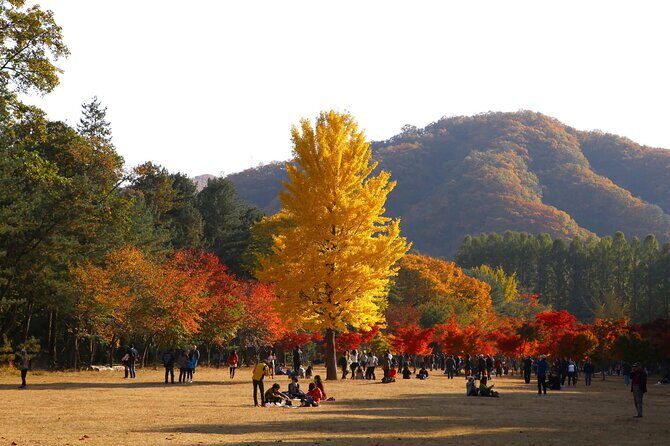 Nami Island and Rail Bike Day Trip from Seoul - Frequently Asked Questions