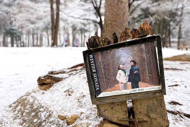 Nami Island and Ski Tour (Elysian Ski Resort) From Seoul - No Shopping - Visit Nami Island