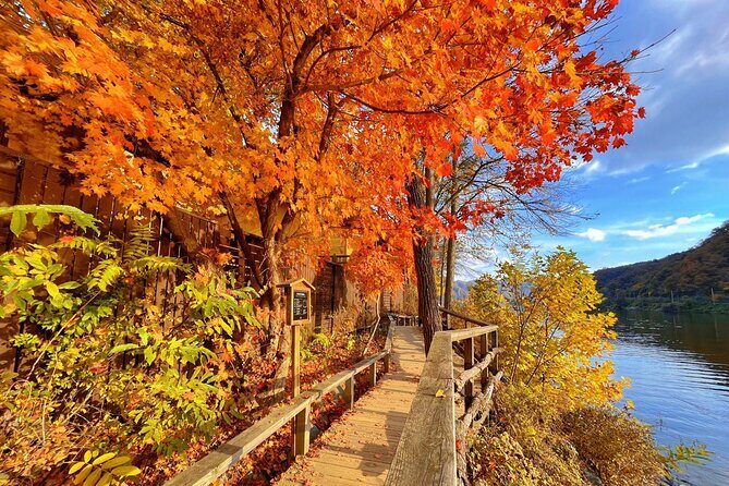 Nami Island, Apple Picking & The Alpaca Garden - What We Loved About This Tour