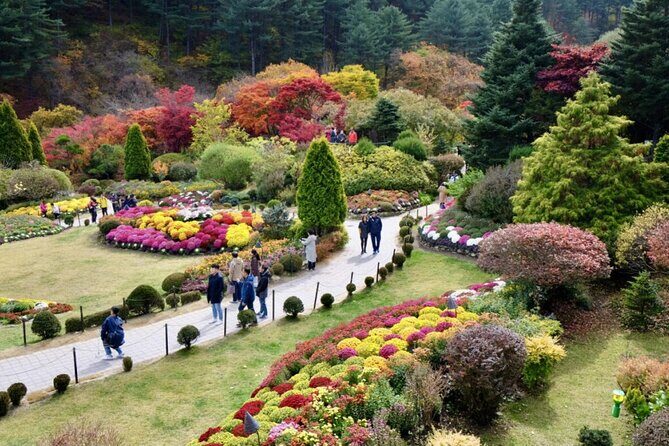 Nami Island , Elysian Ski and Morning Calm Garden Experience - Exploring the Highlights: What to Expect from This Tour