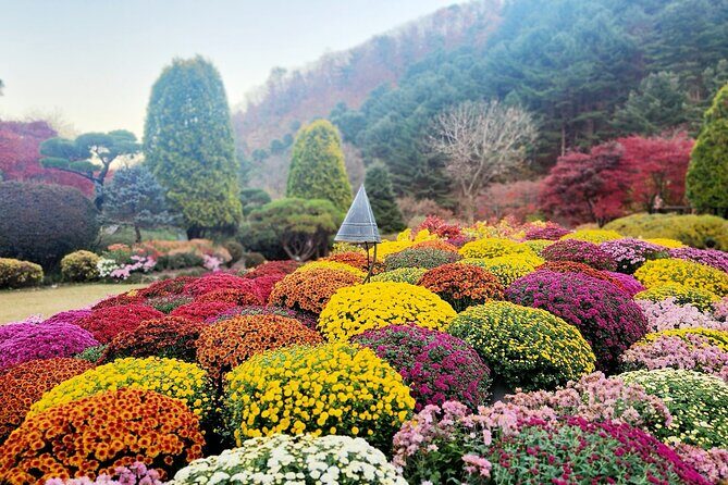 Nami Island , Elysian Ski and Morning Calm Garden Experience - Practical Considerations