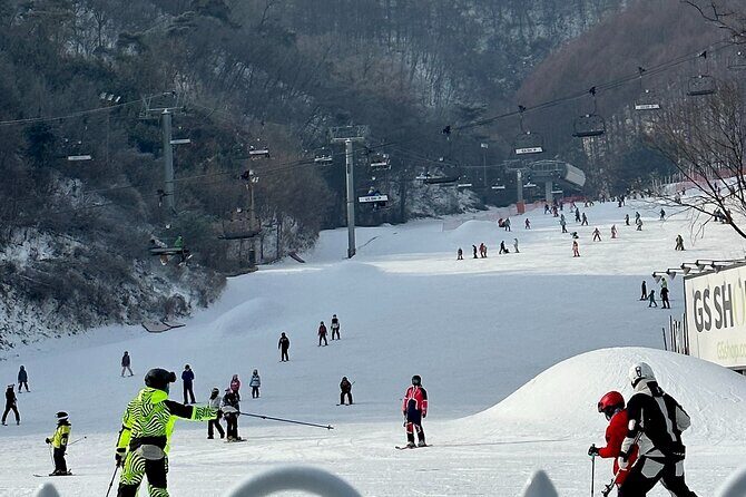 Nami Island , Elysian Ski and Morning Calm Garden Experience - FAQs