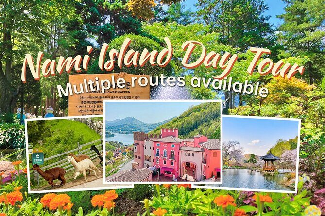 Nami Island from Seoul One Day Trip - Good To Know