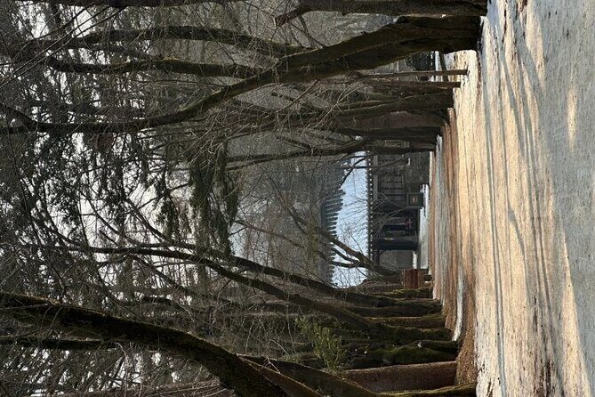 Nami Island from Seoul One Day Trip - FAQs