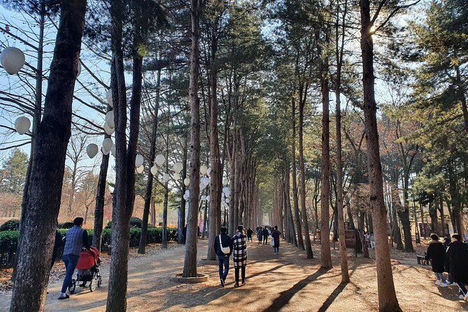 Nami Island & Garden of Morning Calm Private Tour - Tour Highlights
