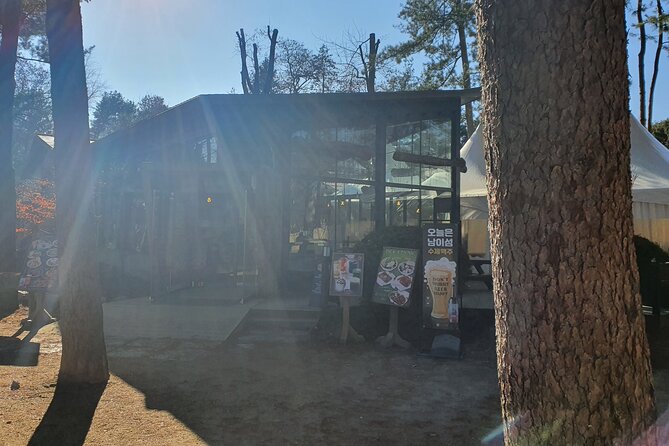 Nami Island & Garden of Morning Calm Private Tour - Customization Options