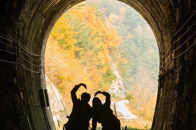 Nami Island, Morning Calm, Rail bike & Autumn Light Festival - An In-Depth Look at the Tour Experience