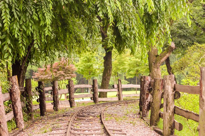 Nami Island, Petite France and Hot Place Myeongdong! - Must-Visit Spots in Myeongdong