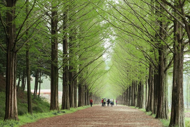 Nami Island & Petite France With Italian Village One-Day Tour - Tour Details