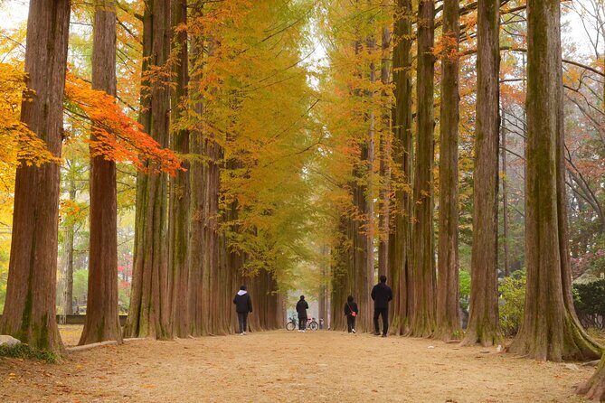 Nami Island Private Photo Tour with options - Final Thoughts