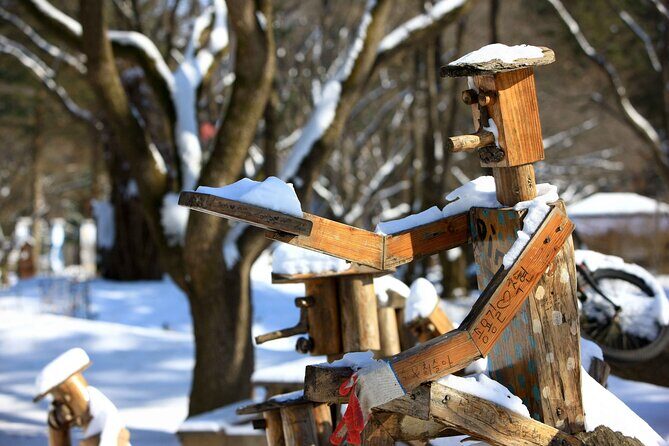 Nami Island Private Photo Tour with options - Frequently Asked Questions
