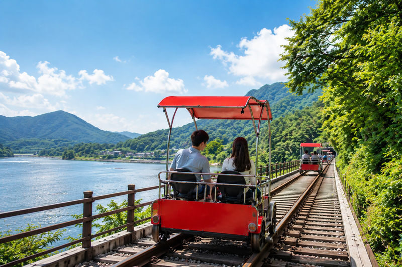 Nami Island Private Tour with Optional Add-ons from Seoul - Key points before you book