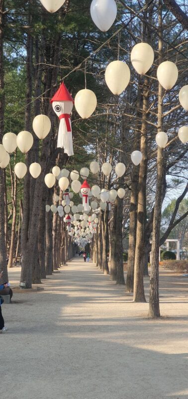 Nami Island Private Tour with Optional Add-ons from Seoul - Garden of Morning Calm: a seasonal change of scene