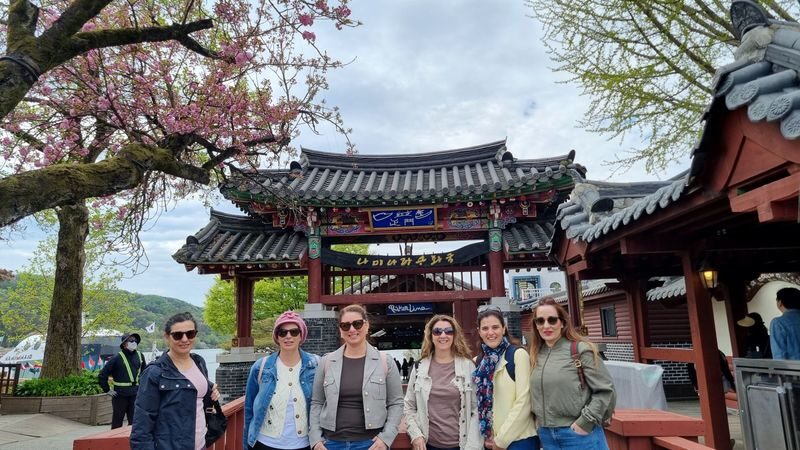 Nami Island Private Tour with Optional Add-ons from Seoul - Rail Bike, Petite France, and the farm options