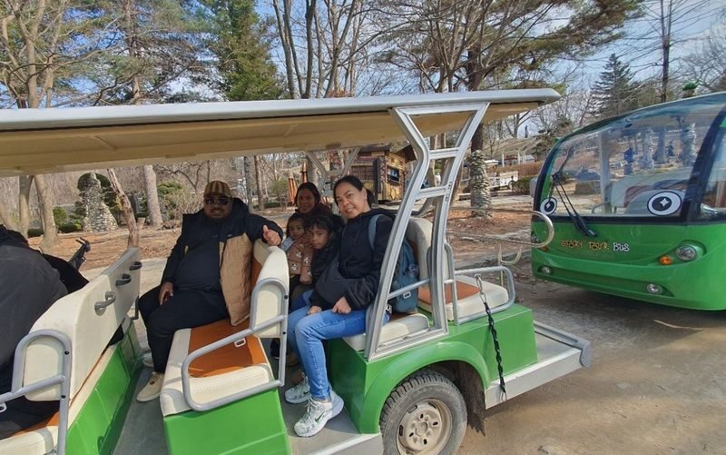 Nami Island Private Tour with Optional Add-ons from Seoul - Choose the route that fits your pace