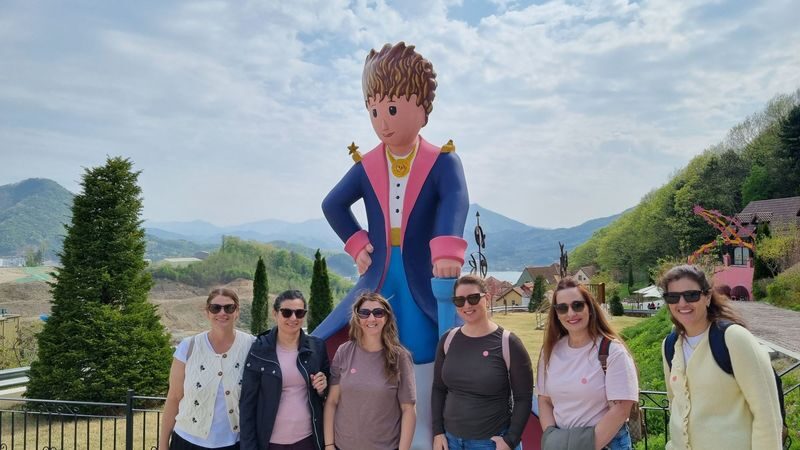 Nami Island Private Tour with Optional Add-ons from Seoul - Who should book this tour?
