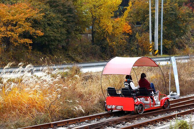 Nami Island, Rail bike & The Alpaca Garden - Good To Know