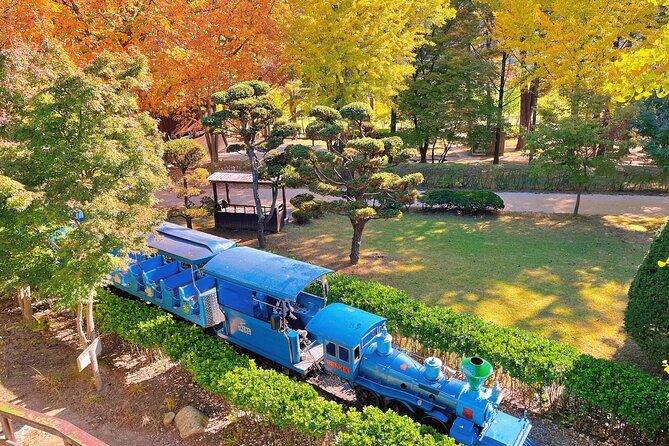 Nami Island, Rail bike & The Alpaca Garden - Practical Details & What to Expect