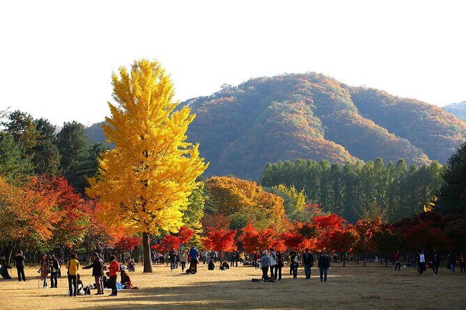 Nami Island, Rail bike & The Alpaca Garden - Final Thoughts: Who Will Love This Tour?