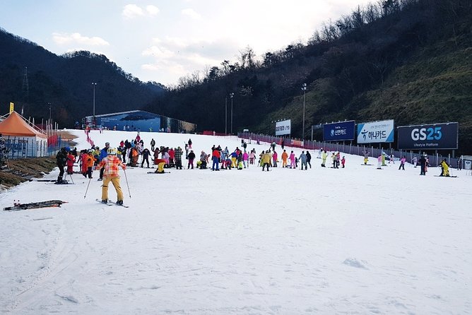 Nami Island Ski Tour - Booking and Reservation