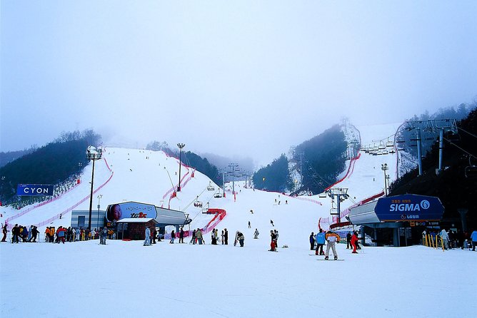Nami Island Ski Tour - Cancellation Policy