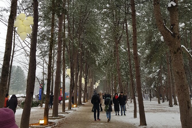 Nami Island Ski Tour - The Sum Up