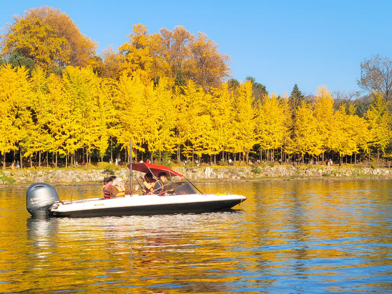Nami Island (Speedboat)/Alpaca/Rail Bike/Morning Calm Private Tour - A private day trip with several possible shapes