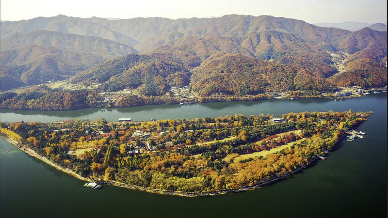 Nami Island (Speedboat)/Alpaca/Rail Bike/Morning Calm Private Tour - Nami Island by speedboat