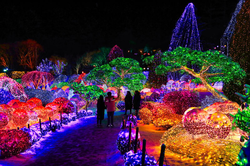 Nami Island (Speedboat)/Alpaca/Rail Bike/Morning Calm Private Tour - Who should book this tour?