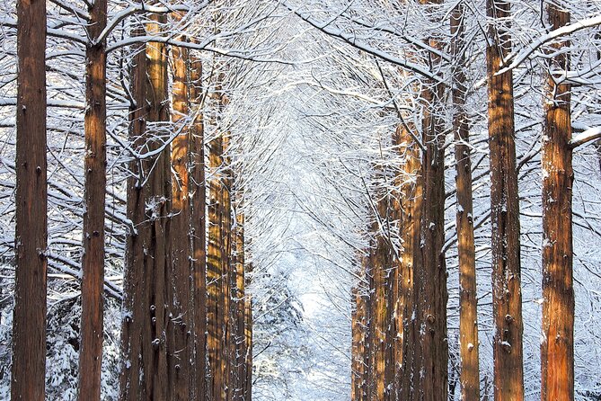 Nami Island & Strawberry Trip With the Garden & Opt. Alpaca World - Common Questions