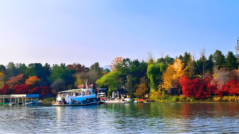 Nami Island Tour from Seoul: Alpaca, Rail Bike, Morning Calm Garden - Pick the package that fits your pace